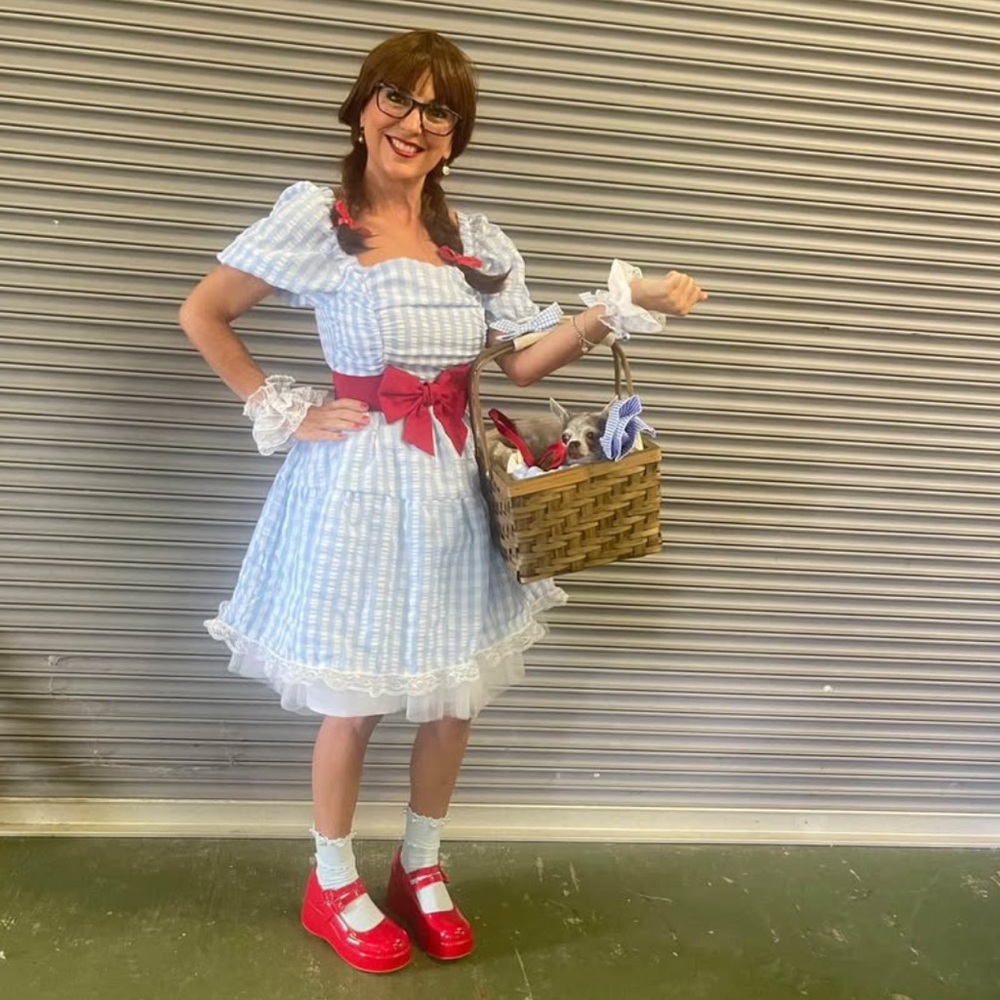Wizard of Oz Dorothy Costume